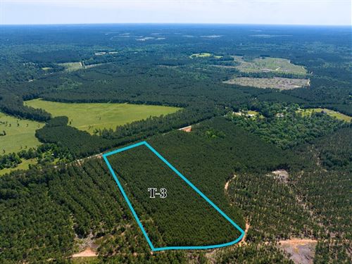 11 Acres, T-3, Camp Ruby Road : Livingston : Polk County : Texas