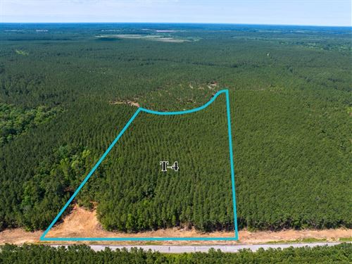 11 Acres, T-4, Camp Ruby Road : Livingston : Polk County : Texas