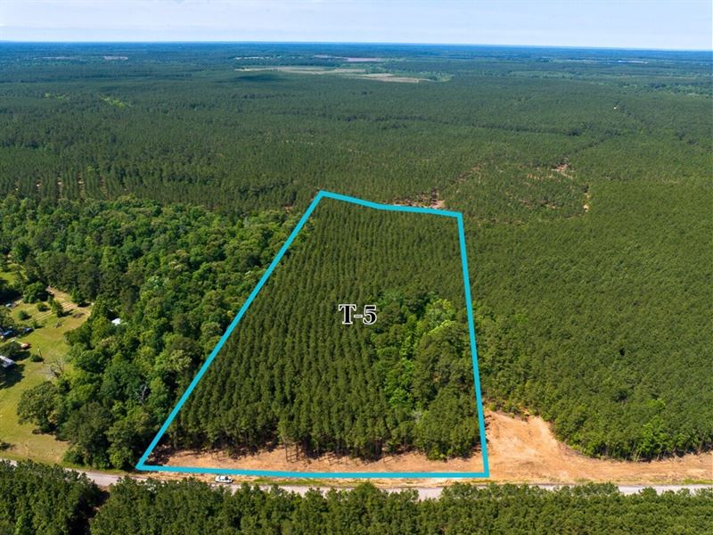 10 Acres, T-5, Camp Ruby Road : Livingston : Polk County : Texas