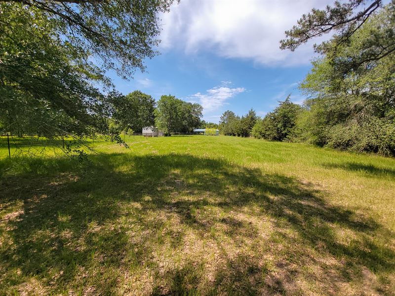 11 Winding Ridge Drive, Huntsville : Huntsville : Walker County : Texas