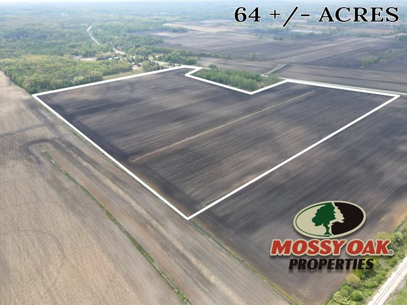 64 Acres / Laporte County / Til : Laporte : Laporte County : Indiana