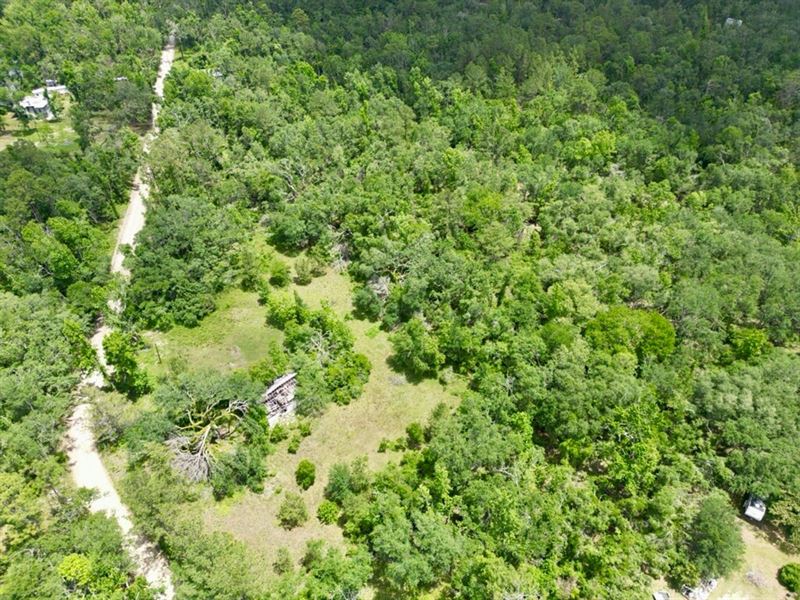 1.8 Acres Near Withlacoochee River : Jasper : Hamilton County : Florida