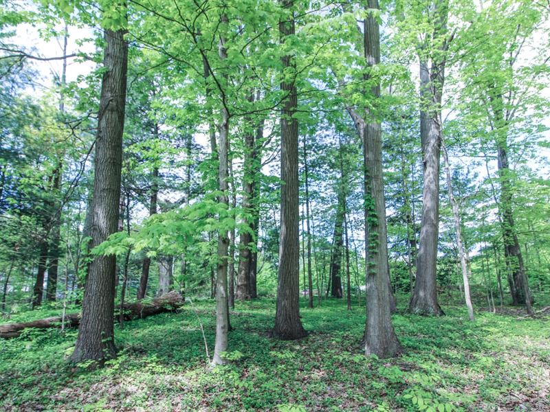 Norton Rd, 6 Acres, Summit County : Hudson : Summit County : Ohio