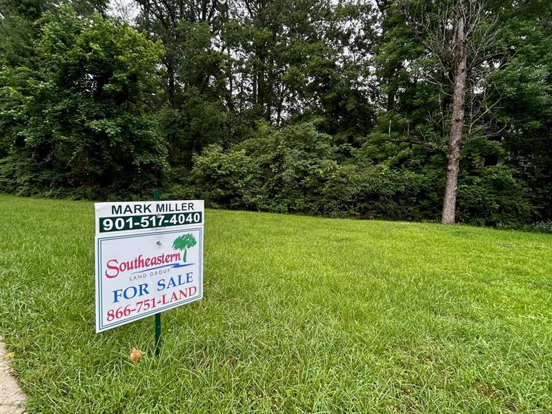 Property Perfect for Tiny Home : Jackson : Hinds County : Mississippi