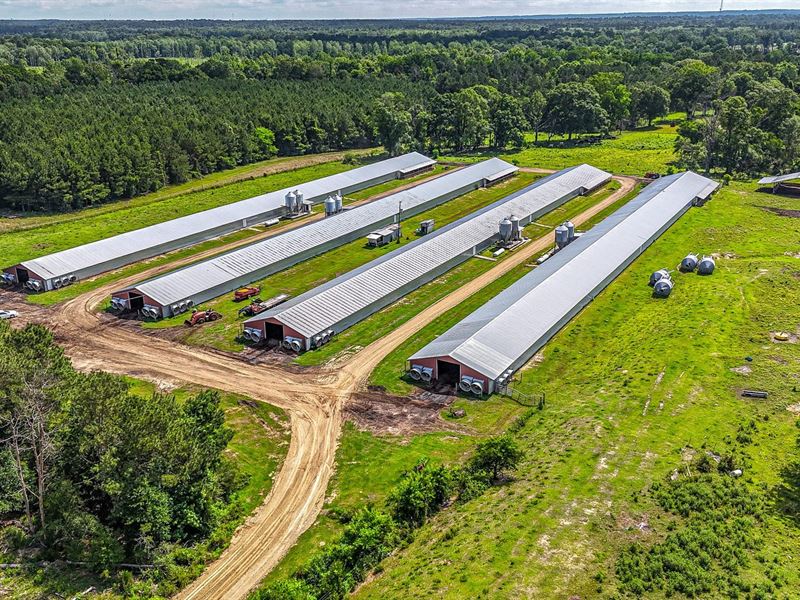 B4 Broiler Farm : Tylertown : Walthall County : Mississippi