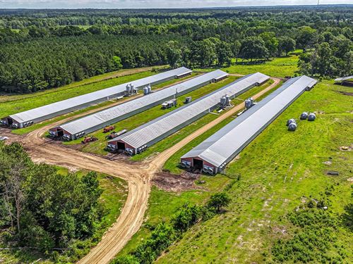 Price Reduced, B4 Broiler Farm : Tylertown : Walthall County : Mississippi