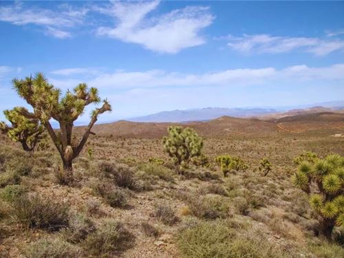 Your Twin Oasis Only $125-$250/Mo : Dolan Springs : Mohave County : Arizona