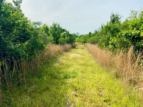 420 Acres in Rankin County in Richl : Richland : Rankin County : Mississippi