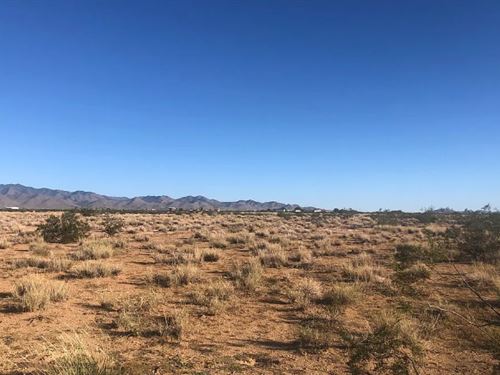 Mountain Base, Public Lands $125/Mo : Dolan Springs : Mohave County : Arizona