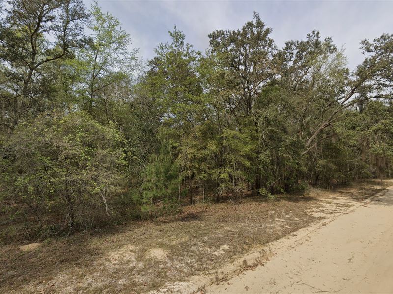 Retire Near The Lake : Interlachen : Putnam County : Florida