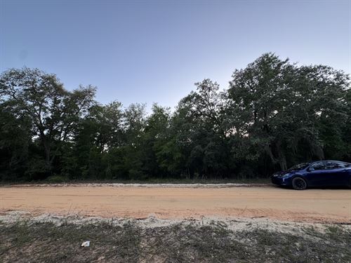 Retire Near The Lake : Interlachen : Putnam County : Florida