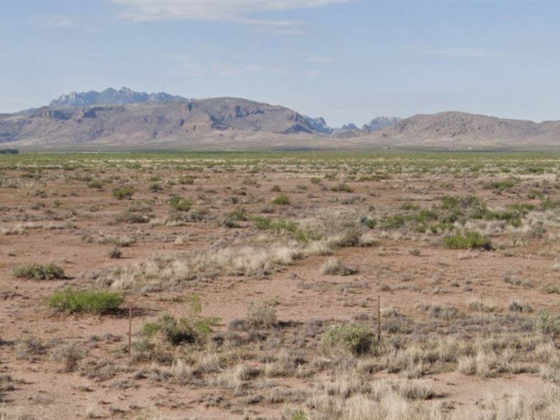 .5 Acres, $75/Mo : Deming : Luna County : New Mexico