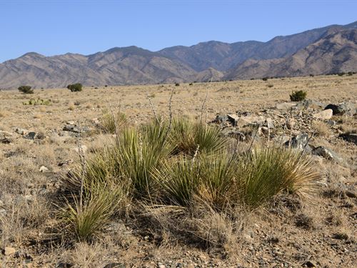Untouched Earth, Endless Horizon : Belen : Valencia County : New Mexico