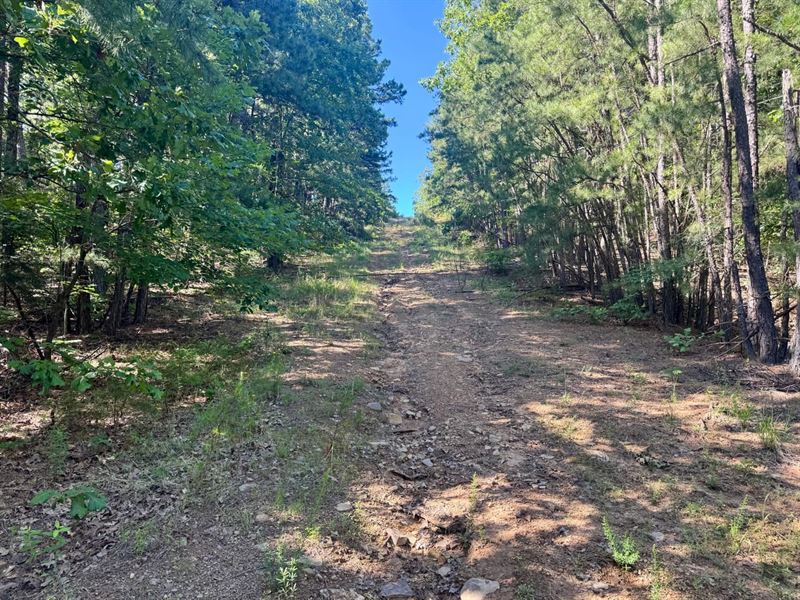 Rattlesnake 80 : Booneville : Logan County : Arkansas