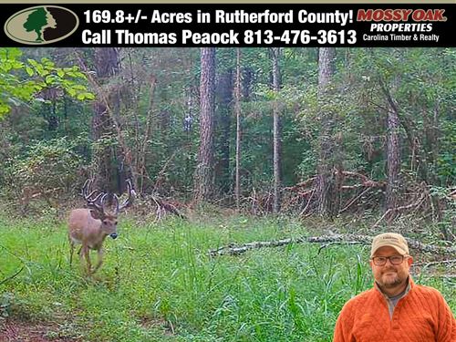 169.8 Ac Creekfront With Lake Acc : Union Mills : Rutherford County : North Carolina