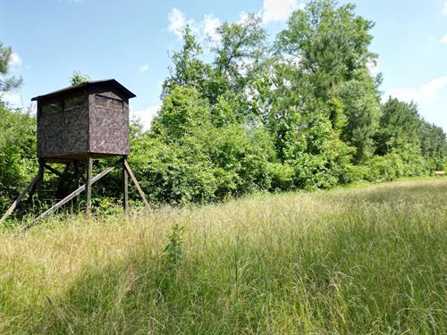 101.6 Acres in Jasper County in Bay : Bay Springs : Jasper County : Mississippi