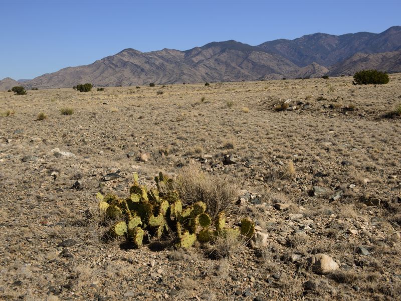 Unlock Mtn Living, Cheap Off Grid : Belen : Valencia County : New Mexico