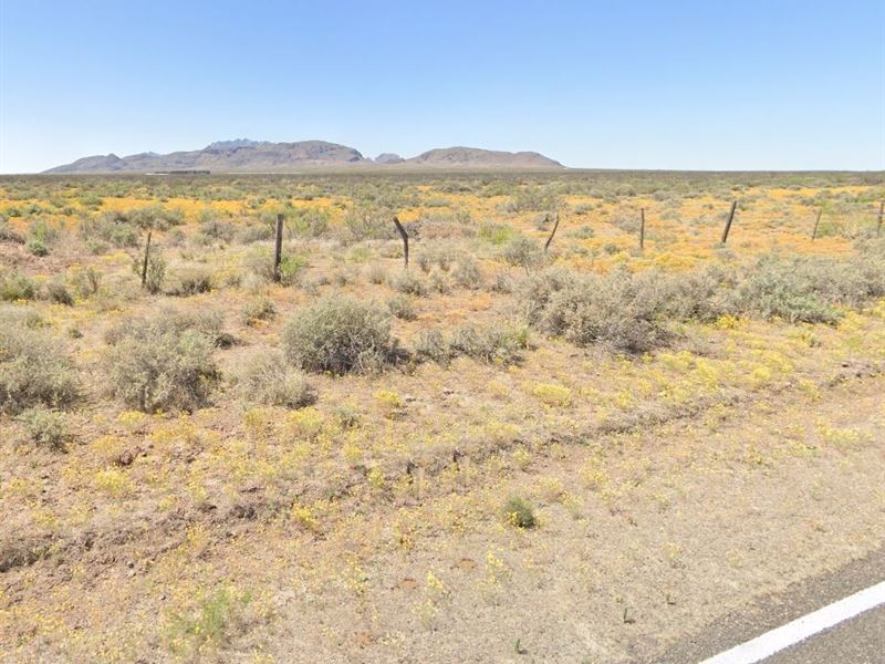 .5 Acre in NM for $75/Mo : Deming : Luna County : New Mexico
