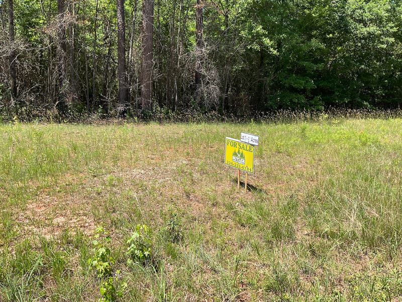 Poorhouse Rd Lot 1 : Greenville : Butler County : Alabama