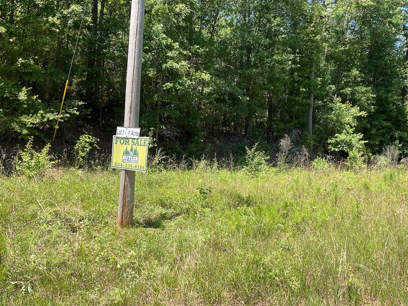 Poorhouse Road Lot 2 : Greenville : Butler County : Alabama