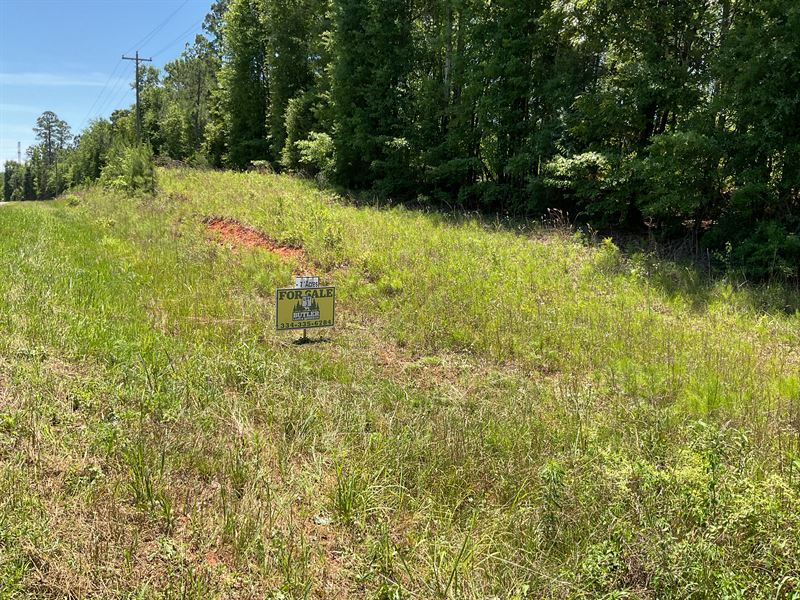 Poorhouse Rd Lot 3 : Greenville : Butler County : Alabama