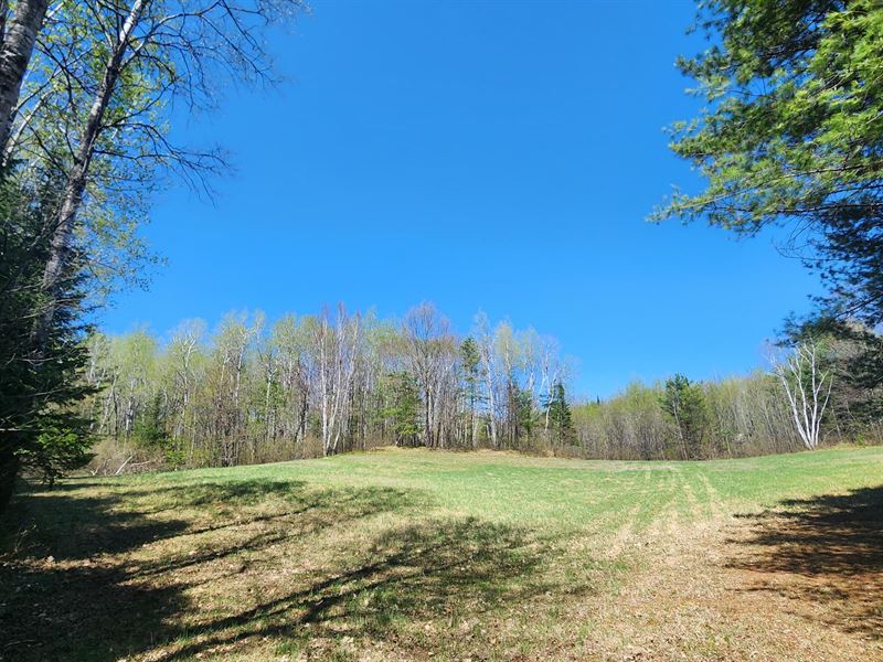 Prime Minocqua Acreage : Minocqua : Oneida County : Wisconsin