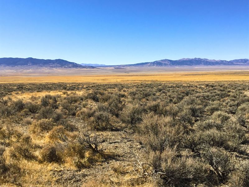 Own 10 Acres of Nevada Freedom : Montello : Elko County : Nevada