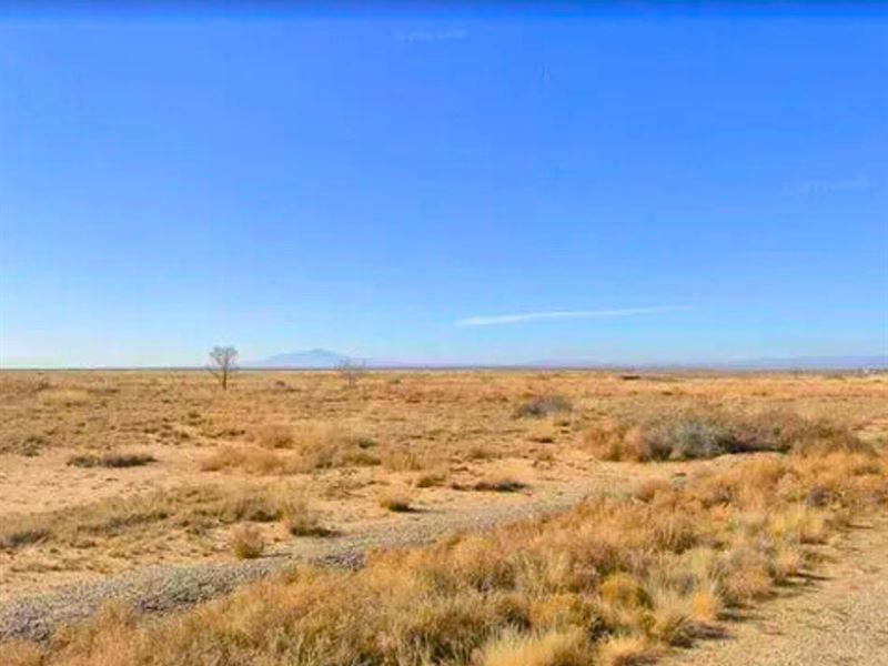 Your 0.25 Acre of Quiet in Valencia : Los Lunas : Valencia County : New Mexico