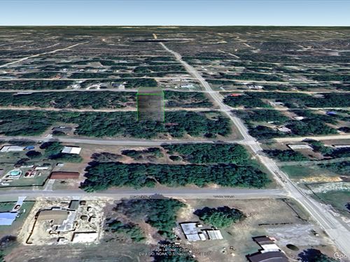 Sunny FL Land Deal, Only $183 : Interlachen : Putnam County : Florida