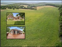 Southern Missouri Cattle Farm : Thornfield : Ozark County : Missouri