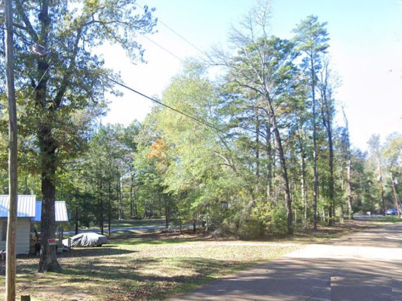 .6 Acre Vacant Lot in Brandon, Mis : Brandon : Rankin County : Mississippi