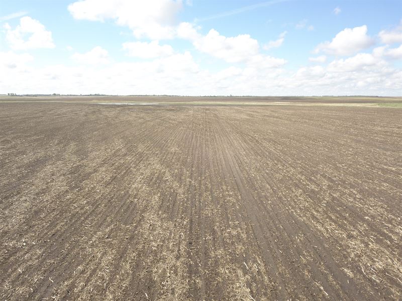 303.60 Acres Brown County : Westport : Brown County : South Dakota