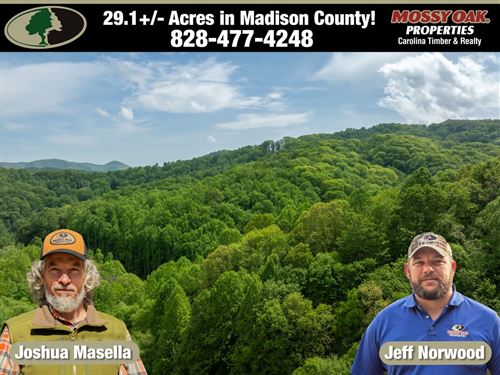 29 Acres Bordering Pisgah Nation : Hot Springs : Madison County : North Carolina