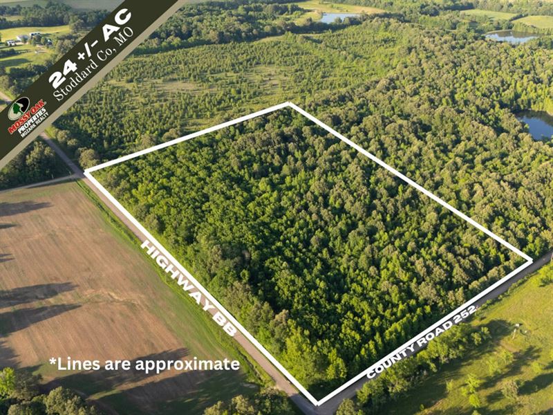 Prime 24 Acre Tract Just Minutes : Bloomfield : Stoddard County : Missouri