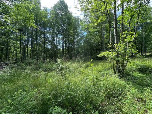 5.21 Acres Wooded Property Alread : Sequatchie : Marion County : Tennessee