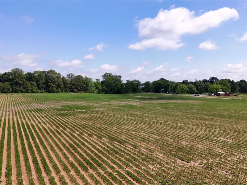 96.5 Acres in Bolivar County, MS : Cleveland : Bolivar County : Mississippi