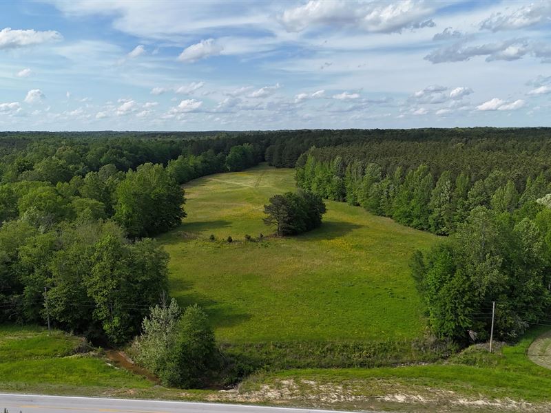 65.04 Acres in Prentiss County, MS : Marietta : Prentiss County : Mississippi