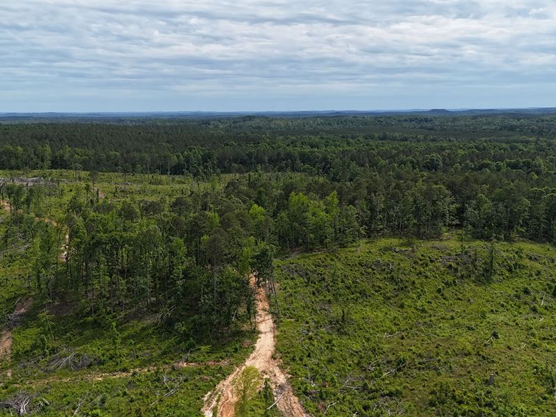 760 Acres in Lafayette County, MS : Oxford : Lafayette County : Mississippi
