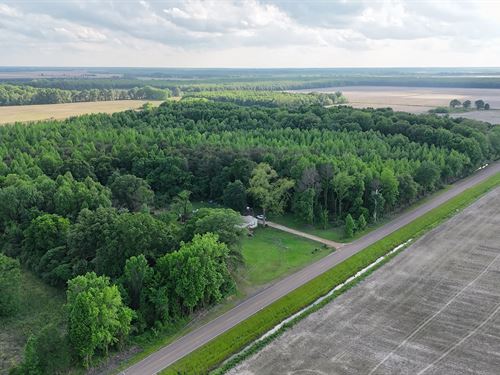 13.4 Acres In Quitman County, MS : Marks : Quitman County : Mississippi