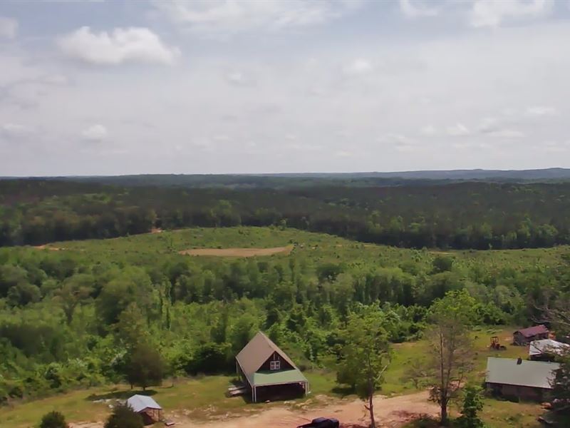 67.5 Acres with Cabin : Lawley : Bibb County : Alabama