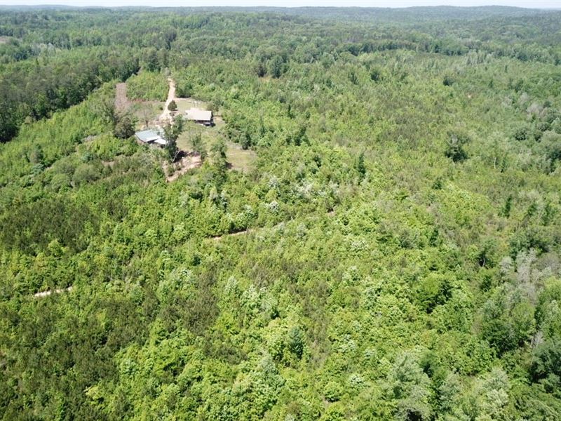 Price Reduced, 67.5 Acres : Lawley : Bibb County : Alabama