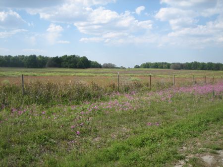 14.83 Acres - Commercial : Ocala : Marion County : Florida