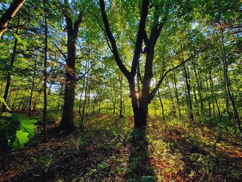 Year-Round RV Camping $275-$450/Mo : Garrison : Mille Lacs County : Minnesota