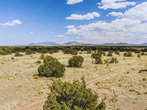 Wooded, Endless Views $175/Mo : Williams : Coconino County : Arizona