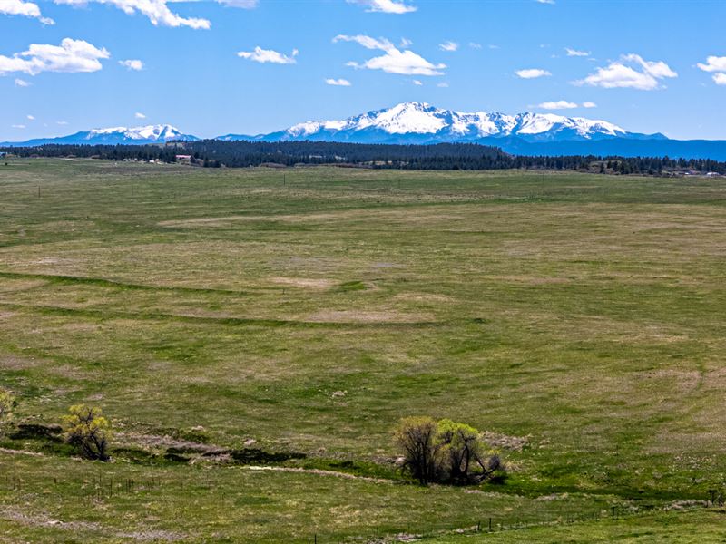 Franktown Farm & Development 157 : Franktown : Douglas County : Colorado