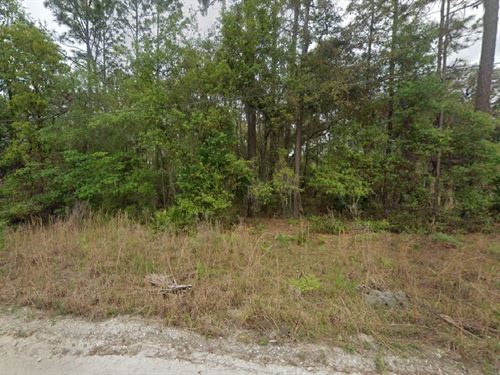 Summer Land Sale, $99 Down : Pomona Park : Putnam County : Florida