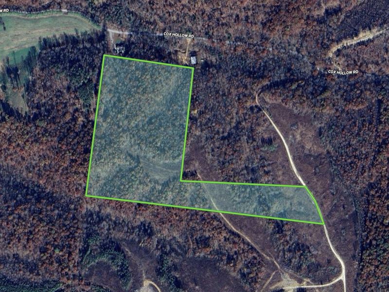 33 Acres w Power & Fiber Internet : Dover : Stewart County : Tennessee