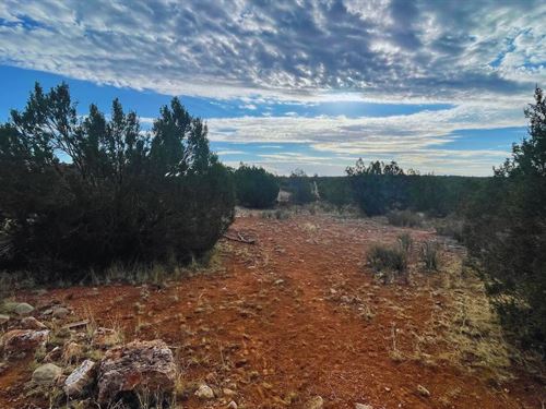 Access Nature Easily $175-$350/Mo : Seligman : Yavapai County : Arizona