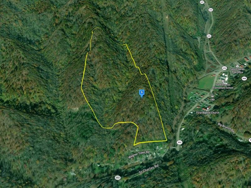 41.25 Acres in Lee County VA : Saint Charles : Lee County : Virginia