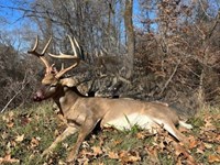 Timberland Paradise Camp, Hunt : Vicksburg : Warren County : Mississippi